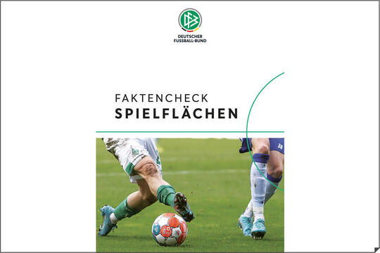 DFB - Faktencheck Spielflächen - 2022