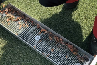 TurfSoft TS2 DC